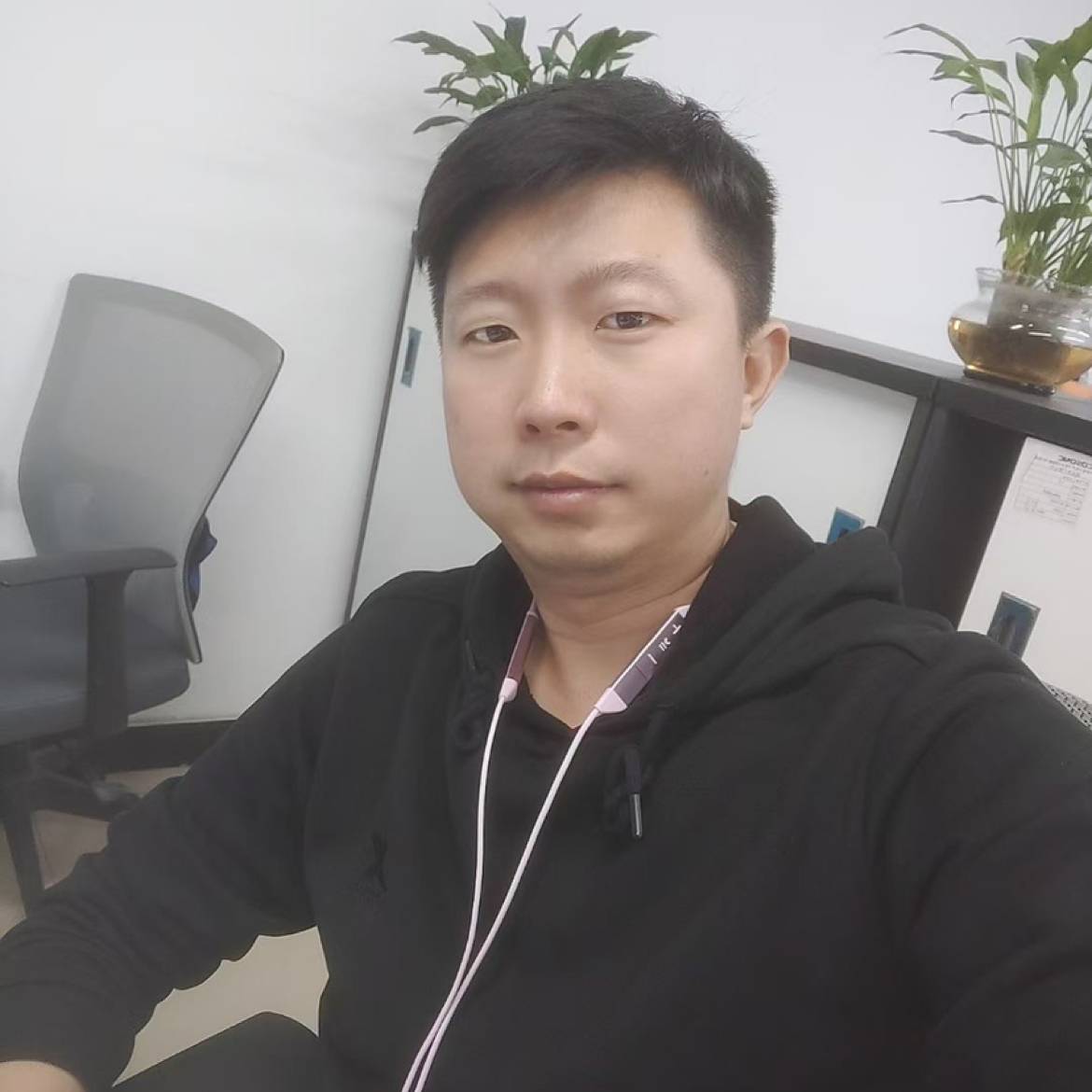 小刺猬苦恋流年的的照片