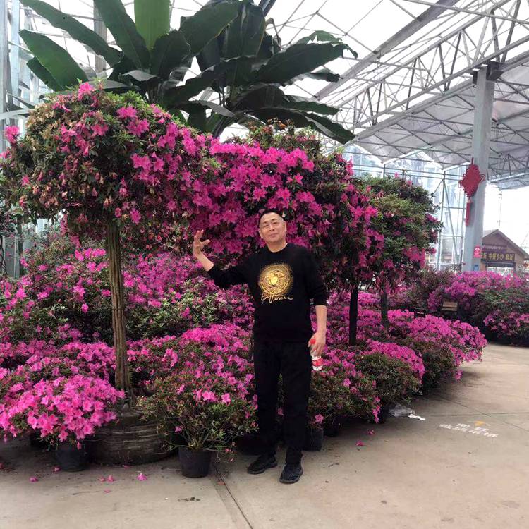 完美和网络的照片