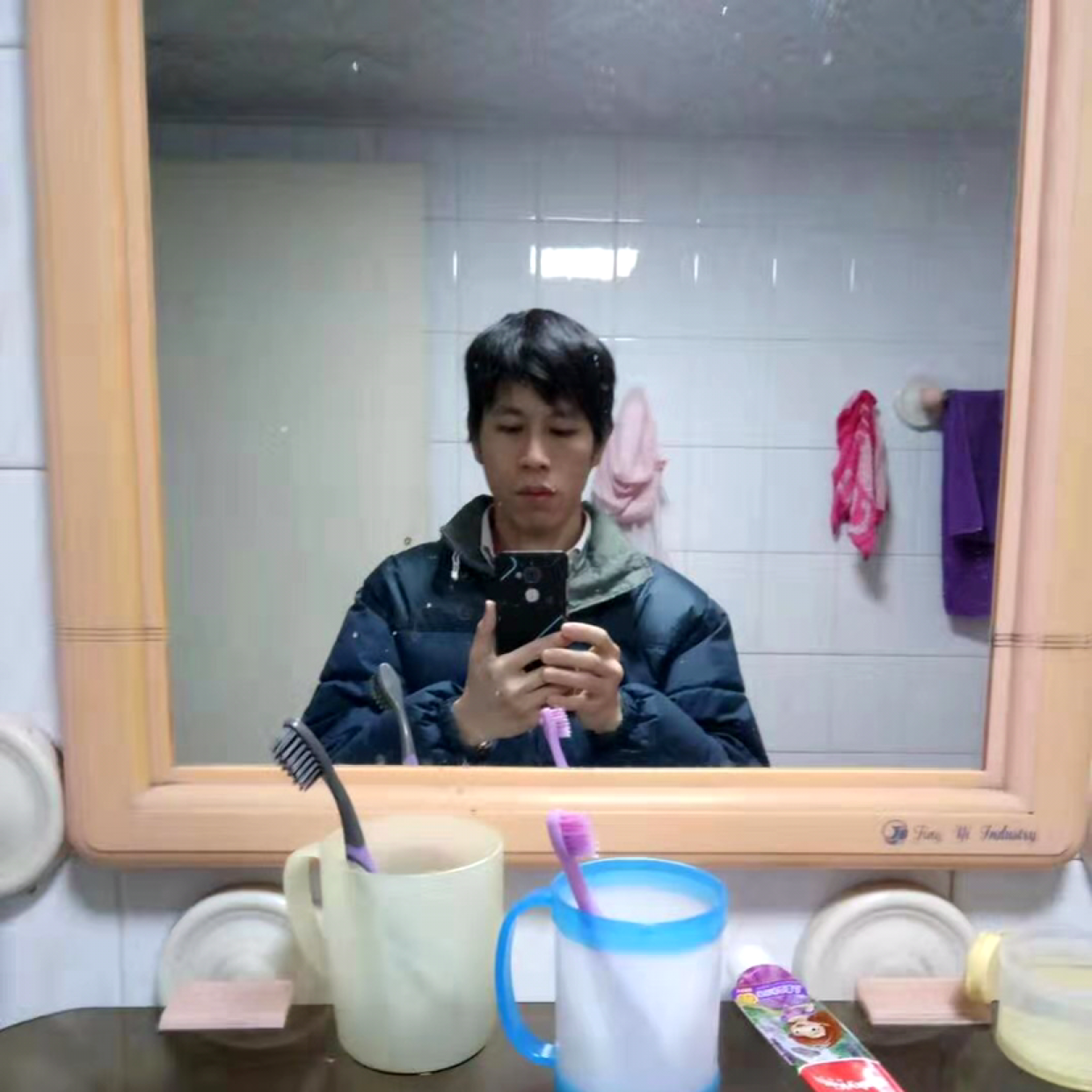 我是海豚的照片