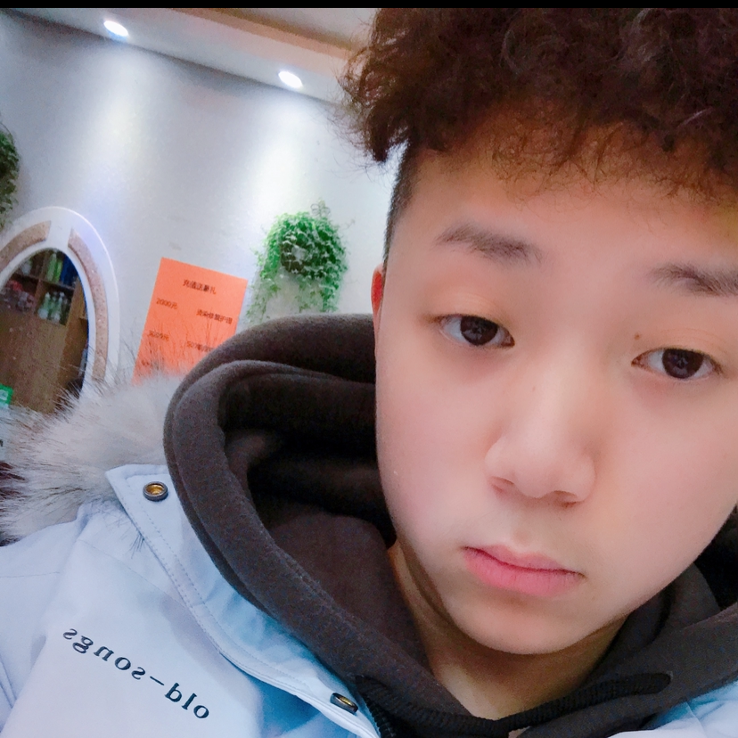 笔墨绘星河的照片