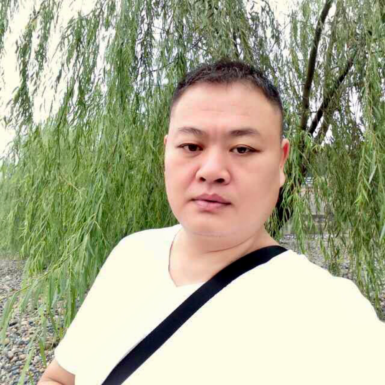 肥刚的照片