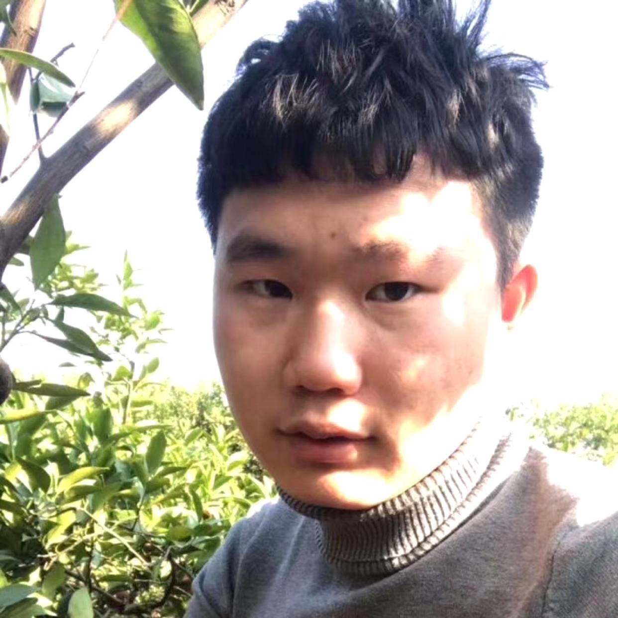 落后回眸裙子的照片