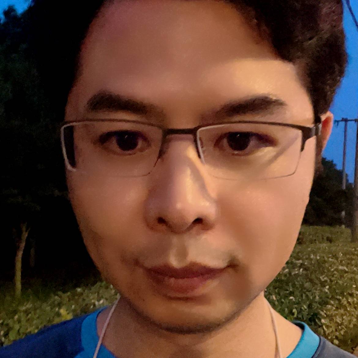 夕阳林语的照片