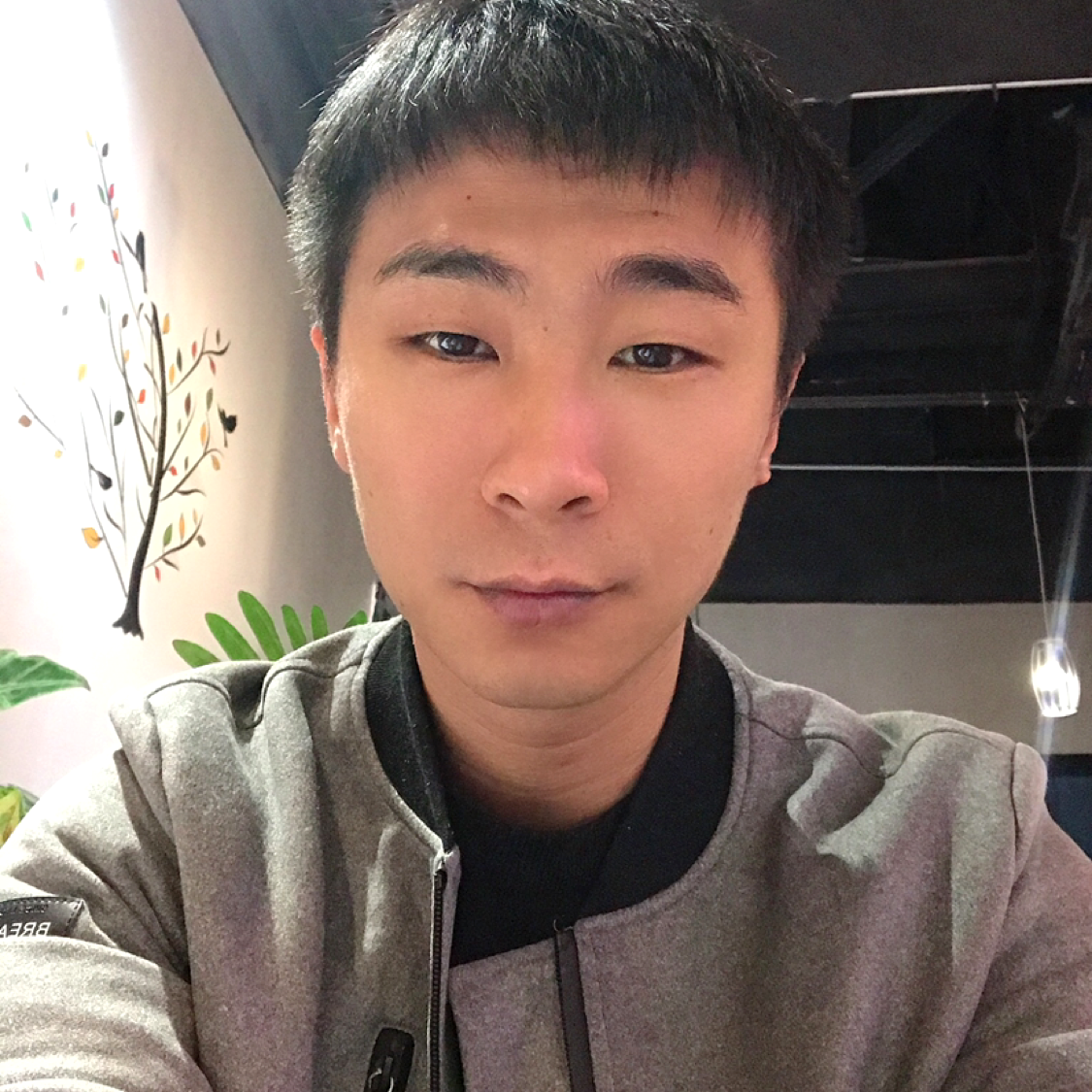 牵着蚂蚁去相亲的照片