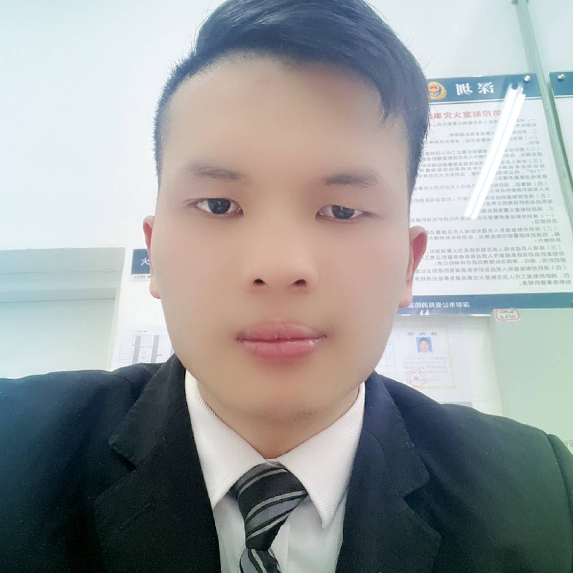 零碎相许小蚂蚁的照片