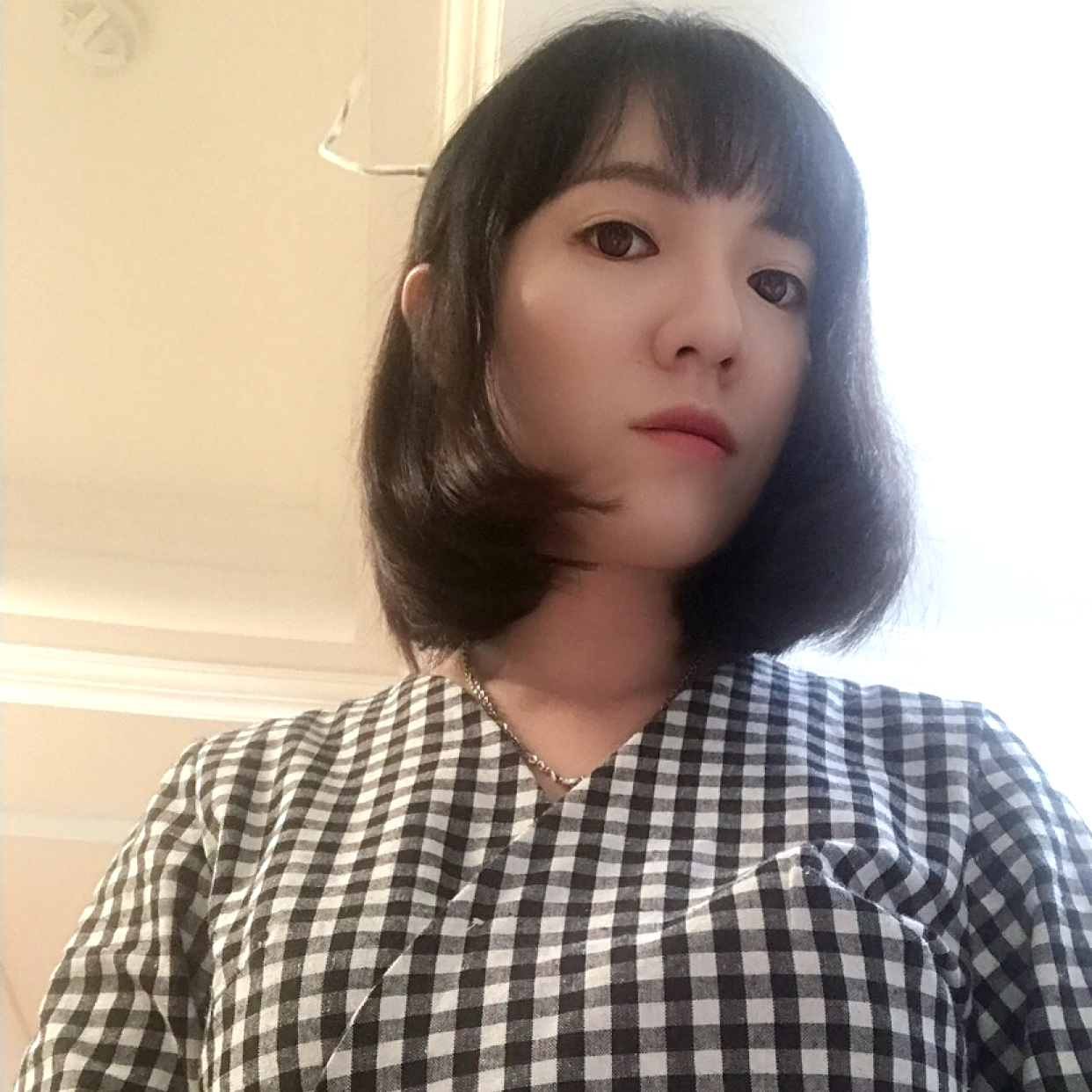 美丽的选择的照片