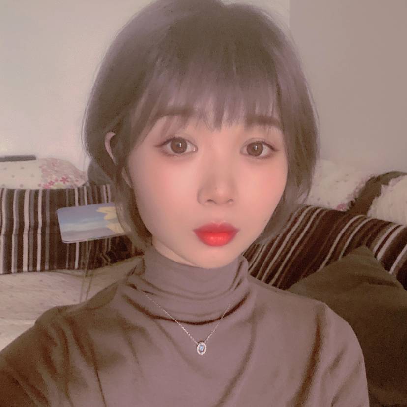 机灵保卫小鸽子的照片