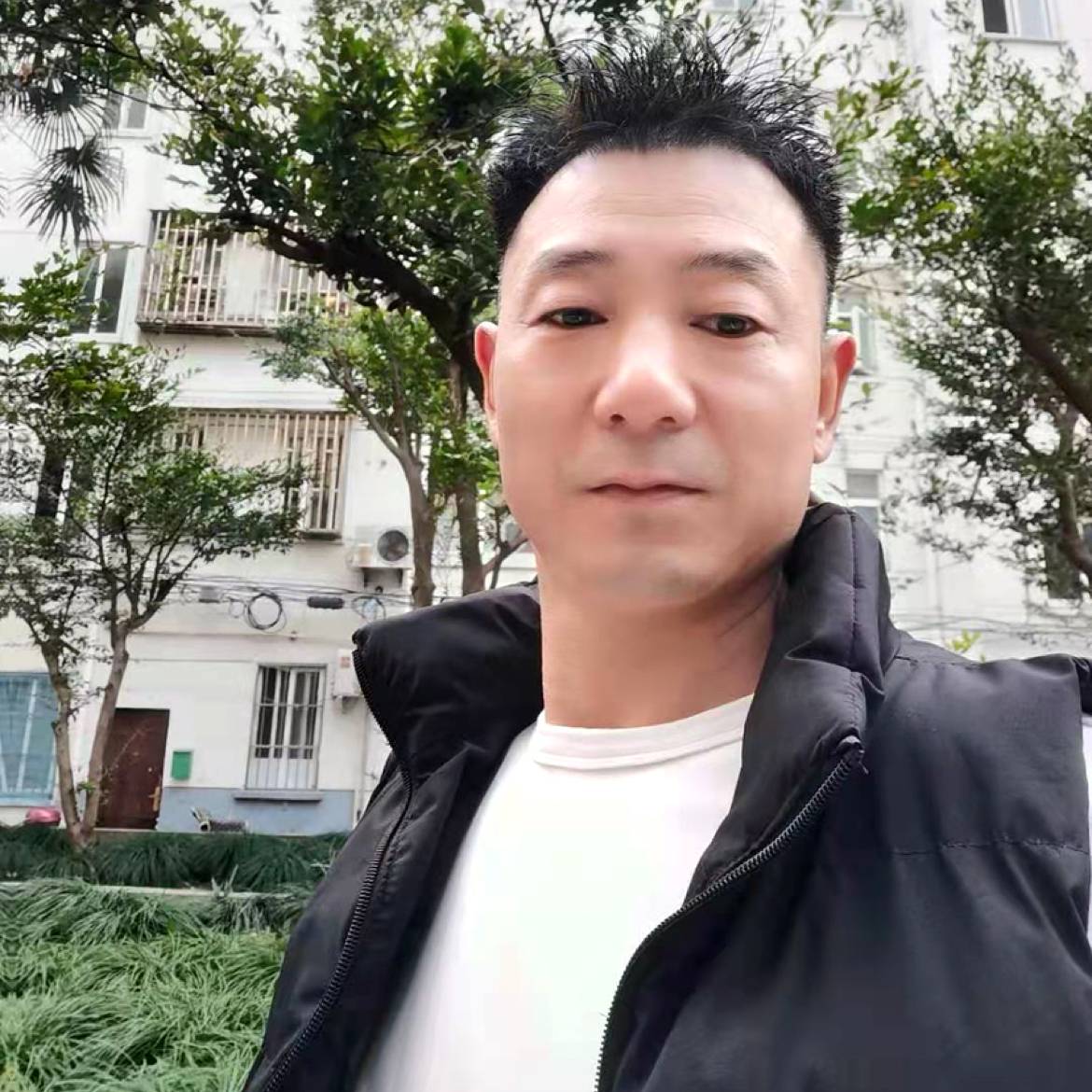 豌豆相许忧伤的照片