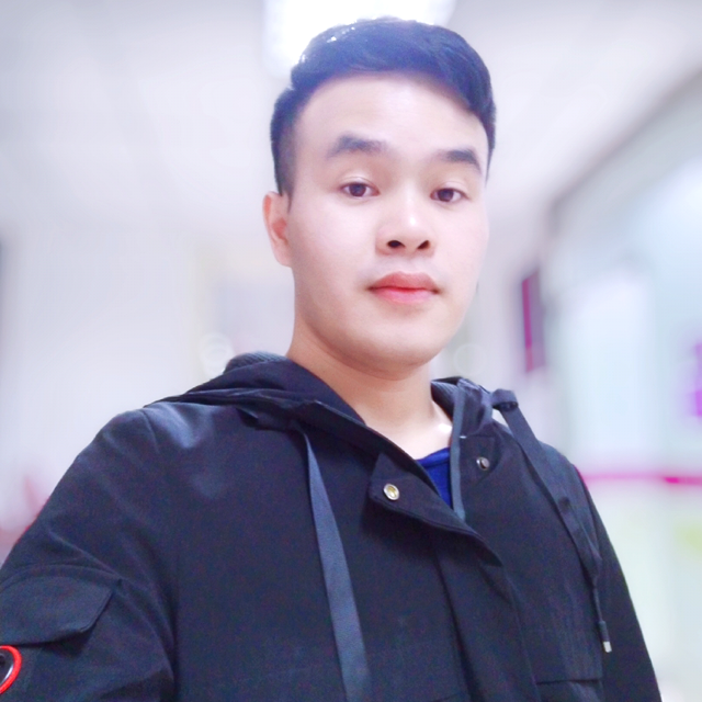 单身扯小海豚的照片