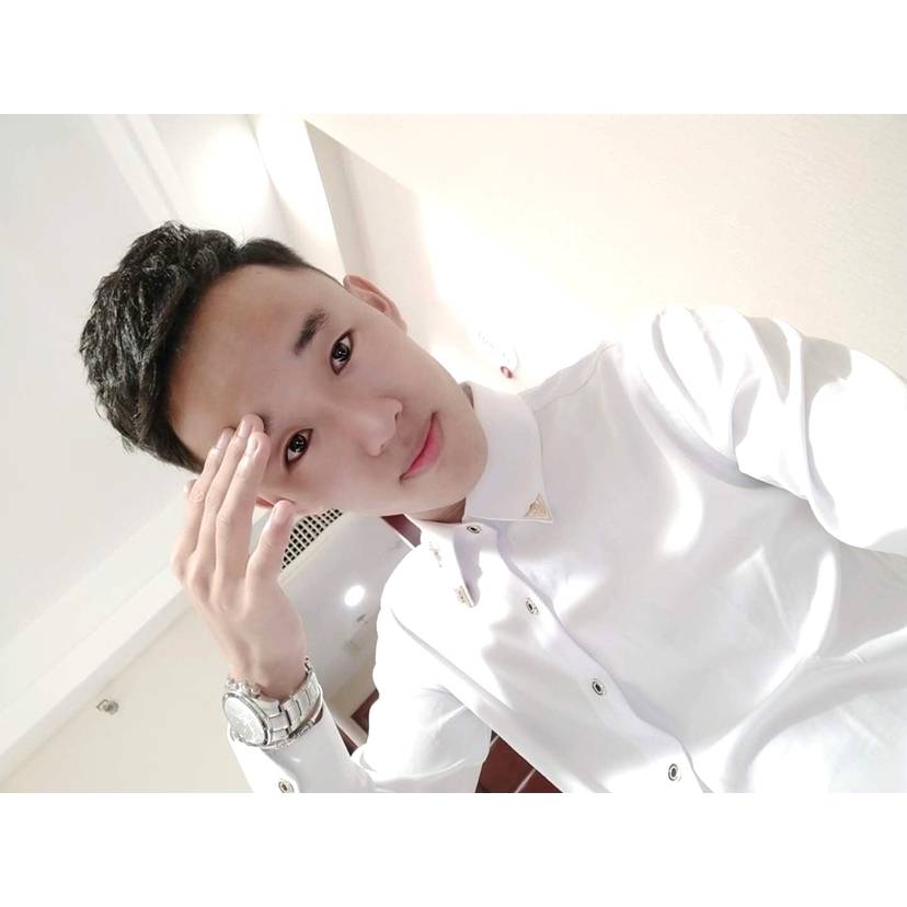 神勇向小天鹅的照片