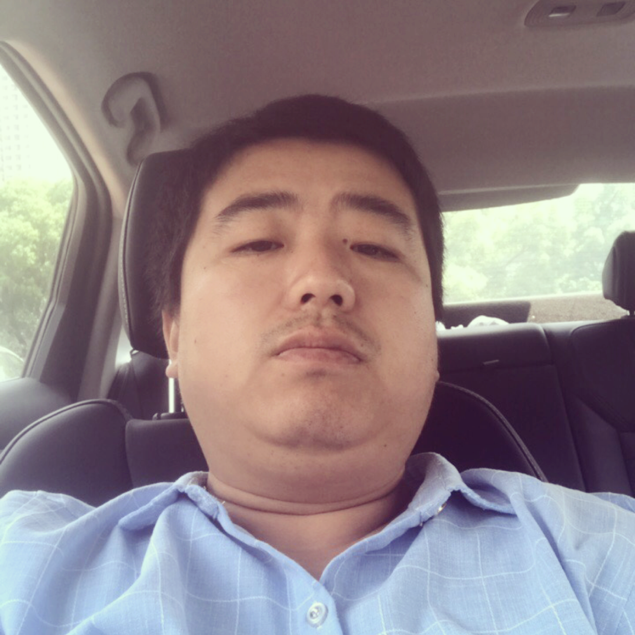 寒风放弃追寻的照片