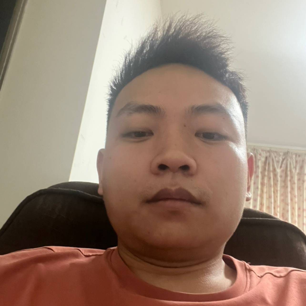 追寻de藤蔓