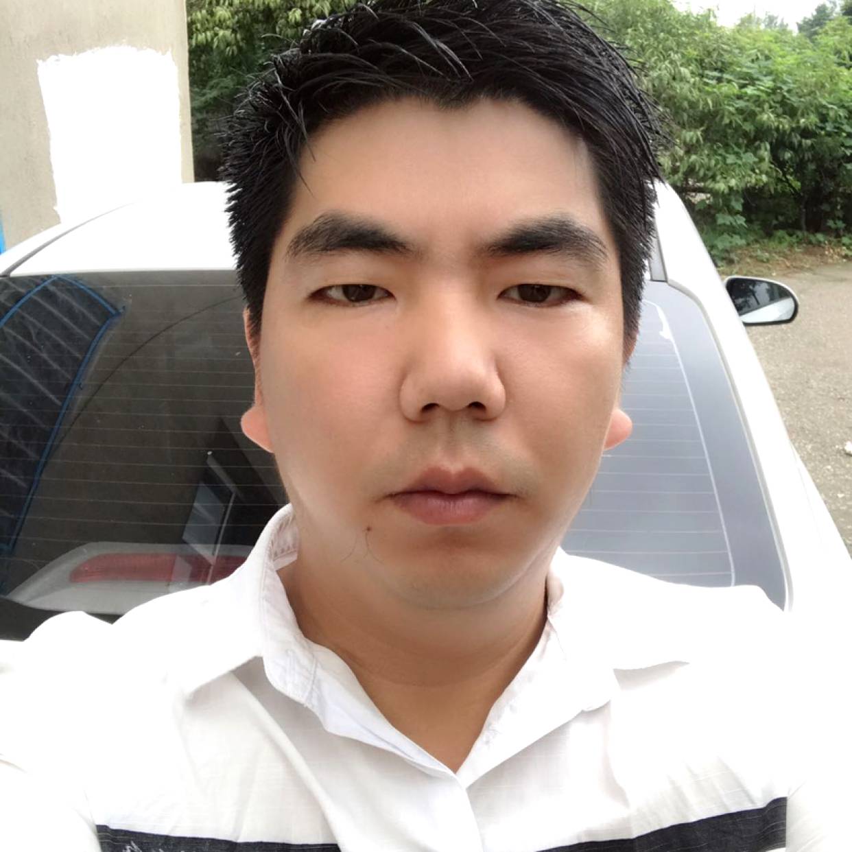 典雅漫步山岚的照片