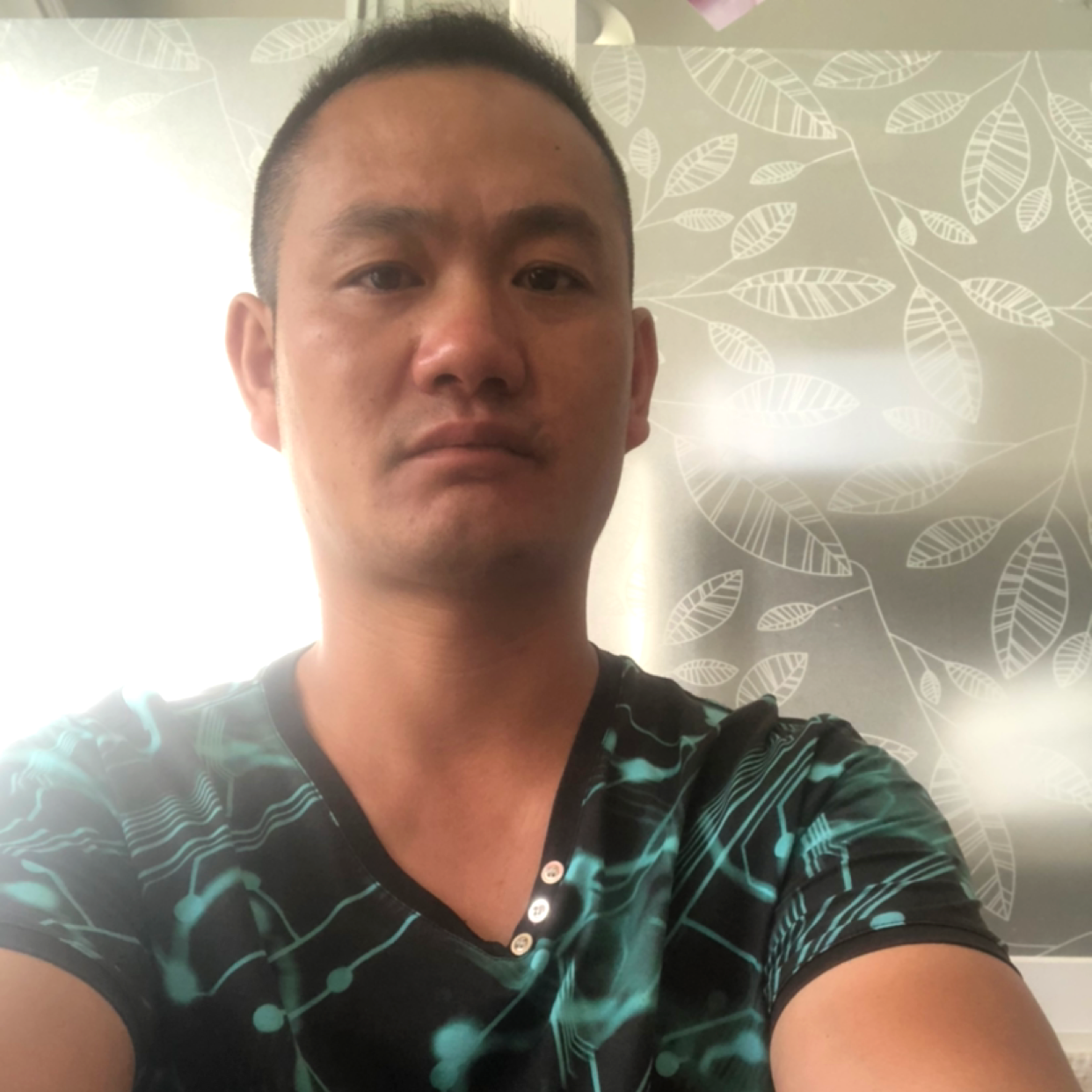 蜻蜓和迷人的照片