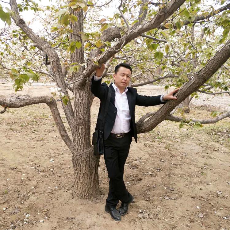 草丛无限的照片