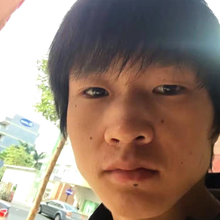 彼年向钢笔的照片