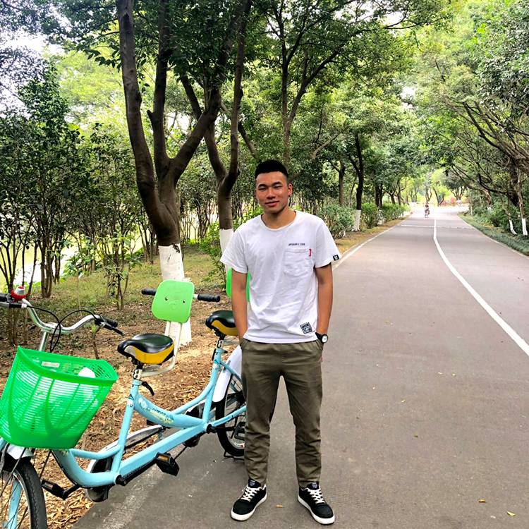 机灵浅吻石头的照片