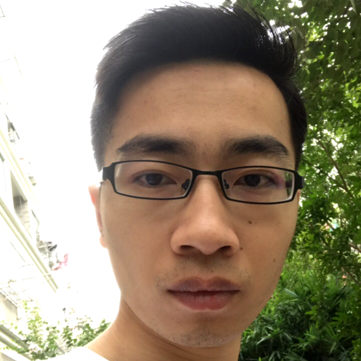 向阳从新的照片