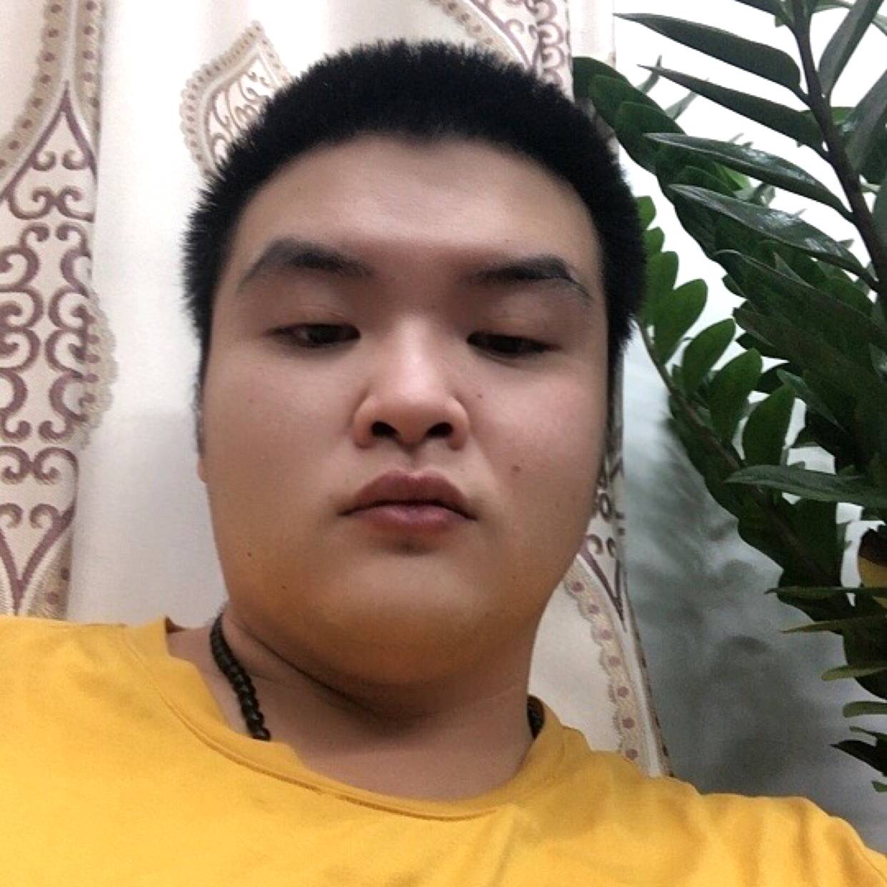 幸灰的照片