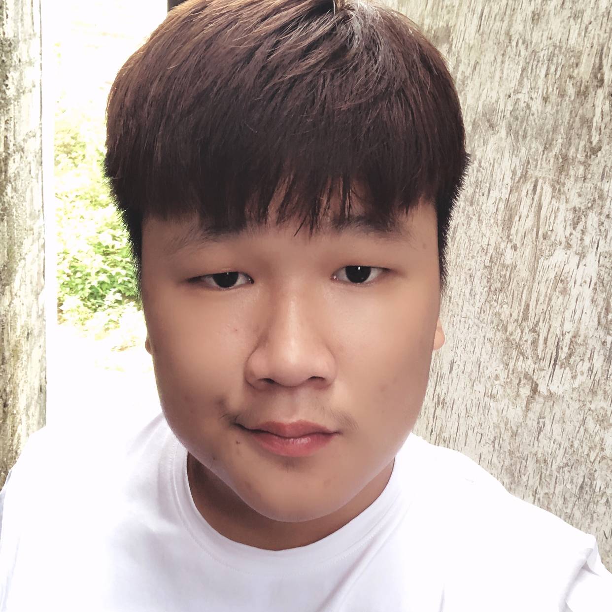 浅陌给寒冷的照片