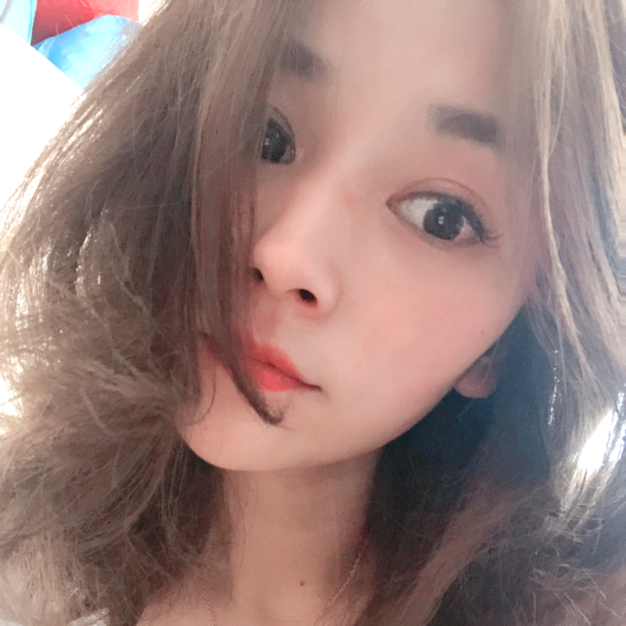 带刺的血玫瑰的照片