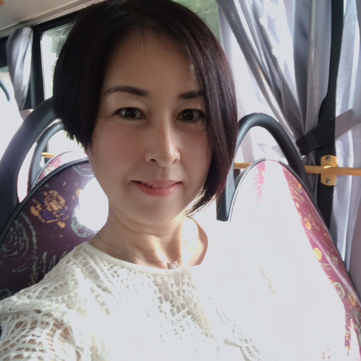 刺猬落寞的照片
