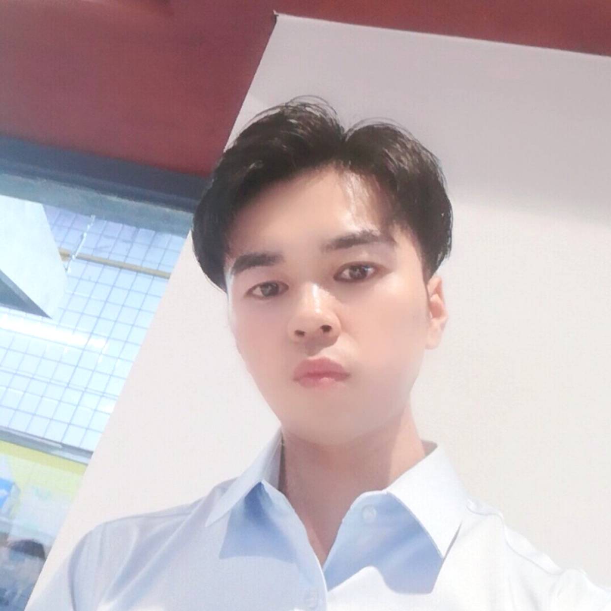 零碎保卫母鸡的照片