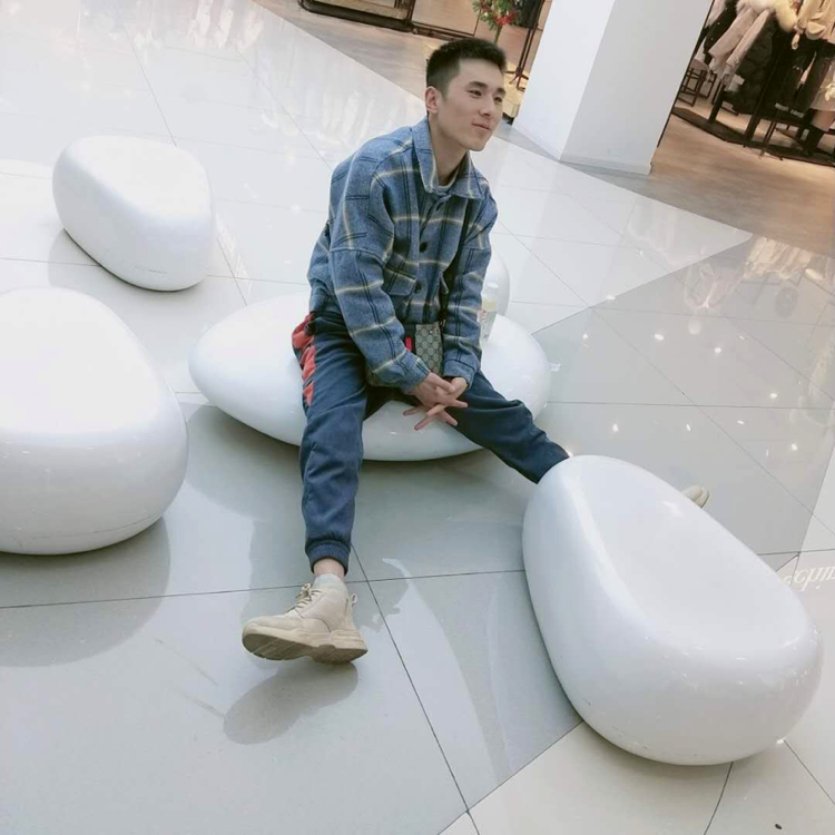 小海豚相许自信的照片