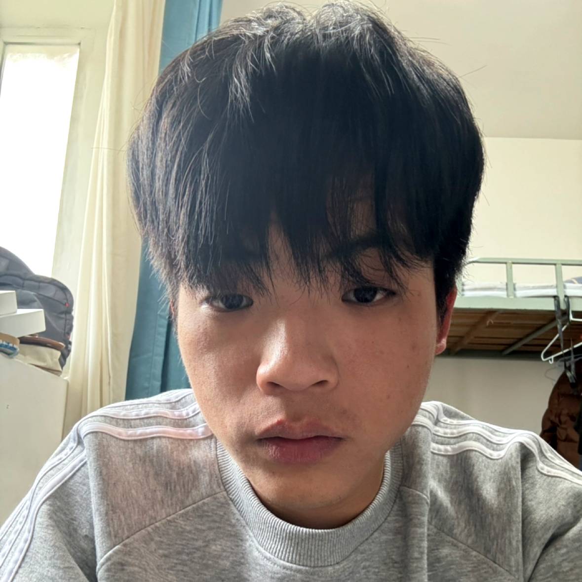 老实de亚托克斯的照片