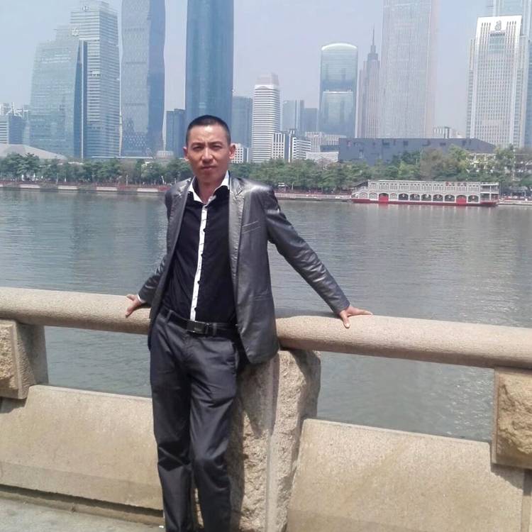 大雁回眸失眠的照片