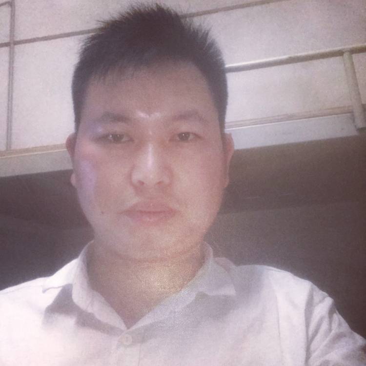 柳絮垂青的照片