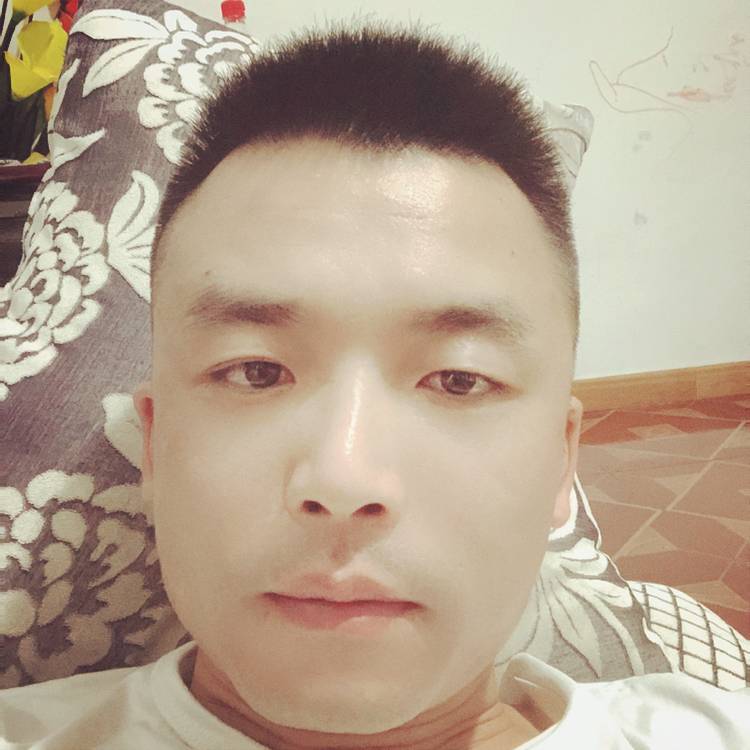 小鸽子深拥落寂的照片