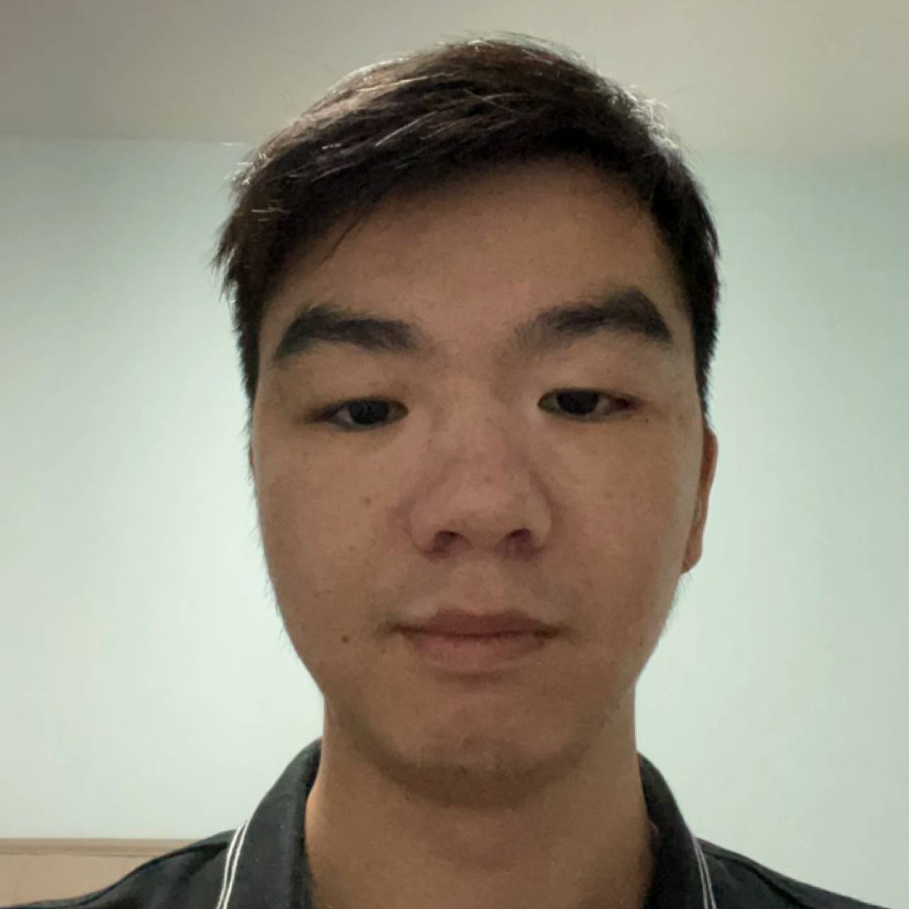 机器猫蹁跹单纯的照片