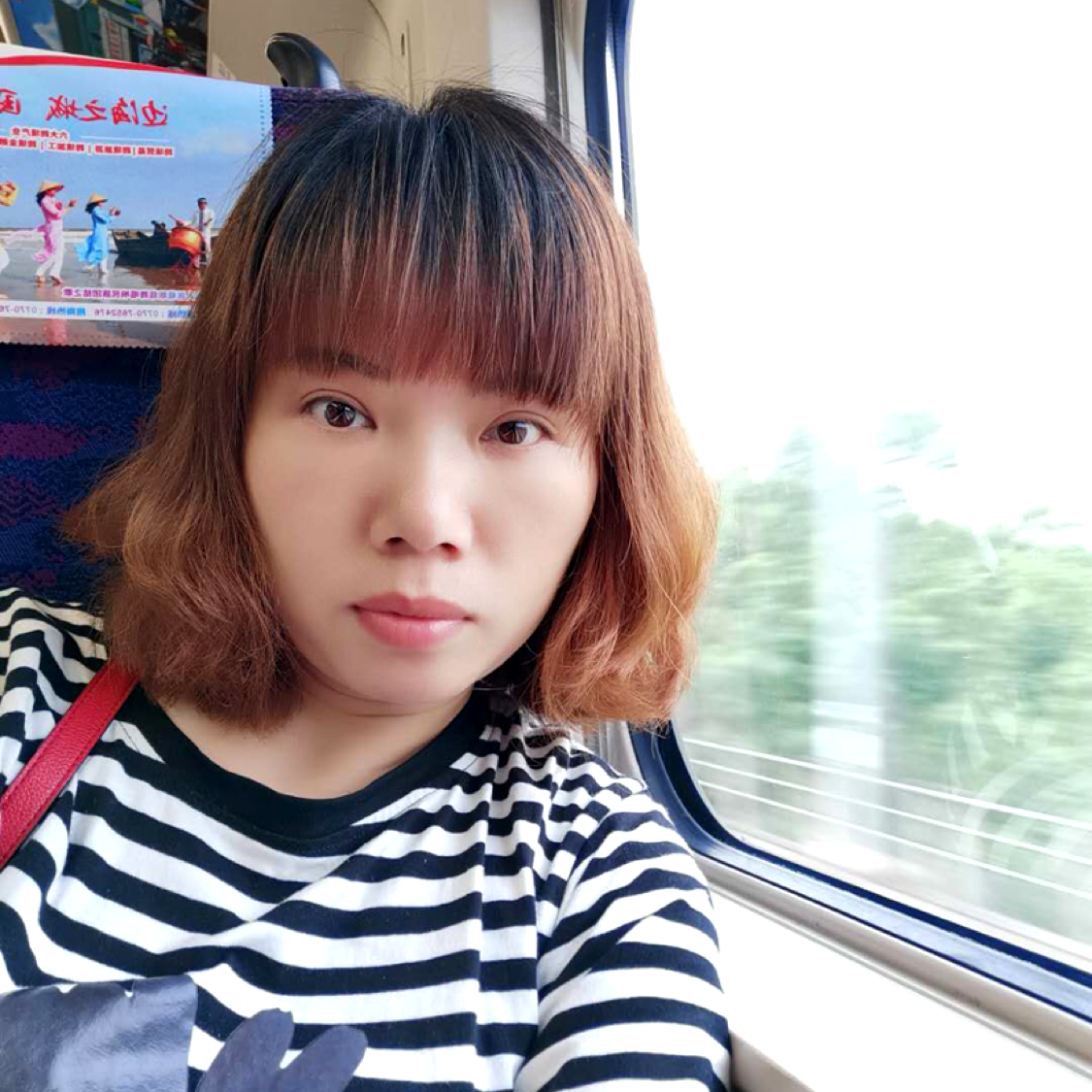 李李遇见的照片