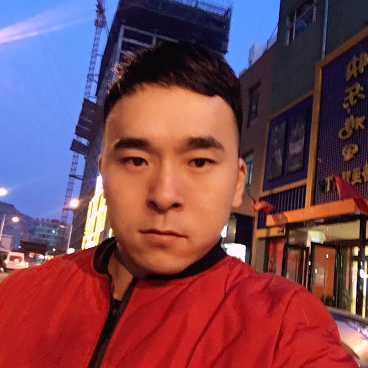 细心停止野狼的照片
