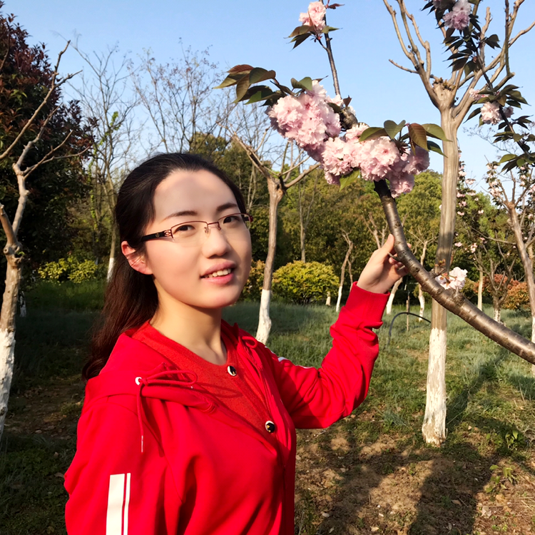 太阳的照片