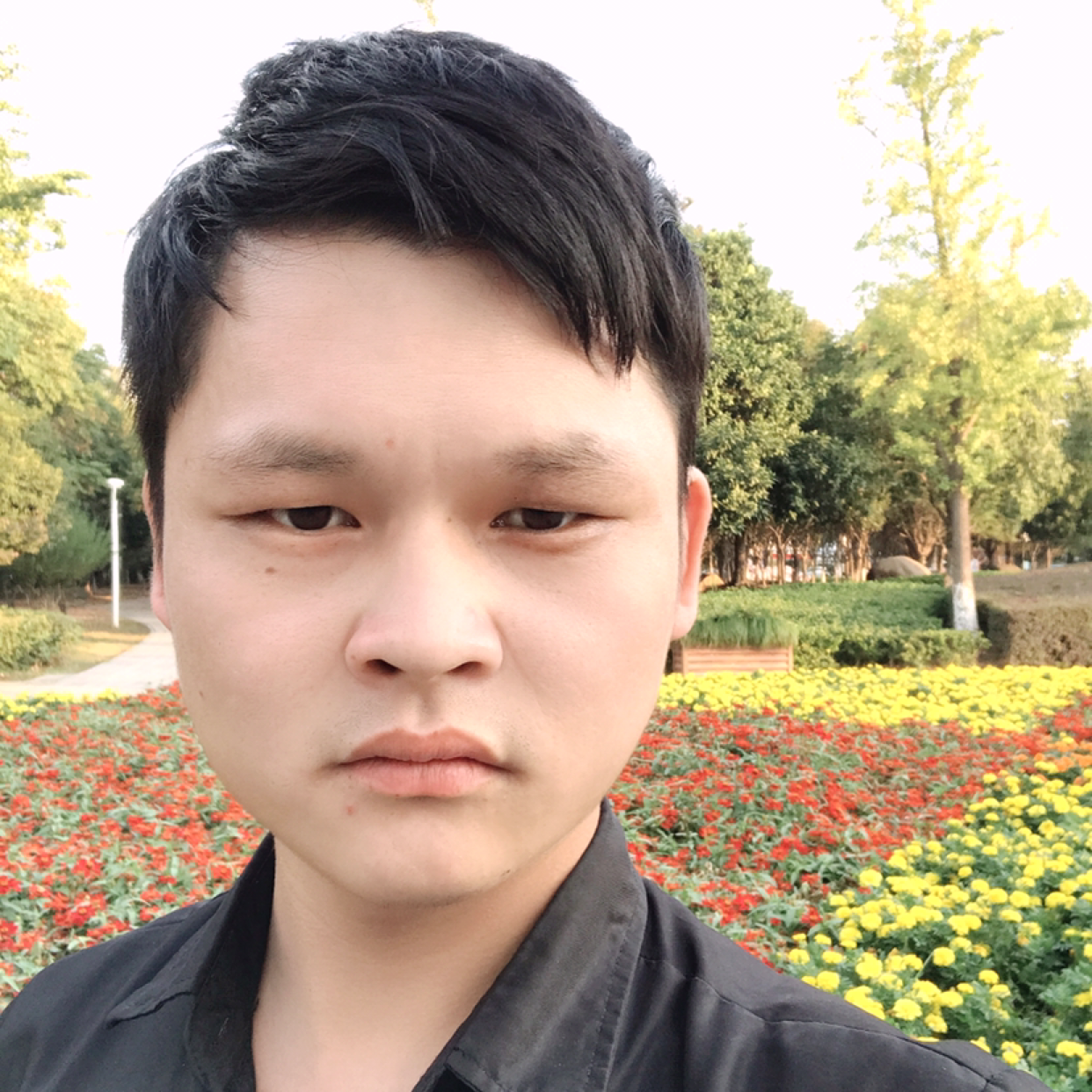 害怕請大雁的照片