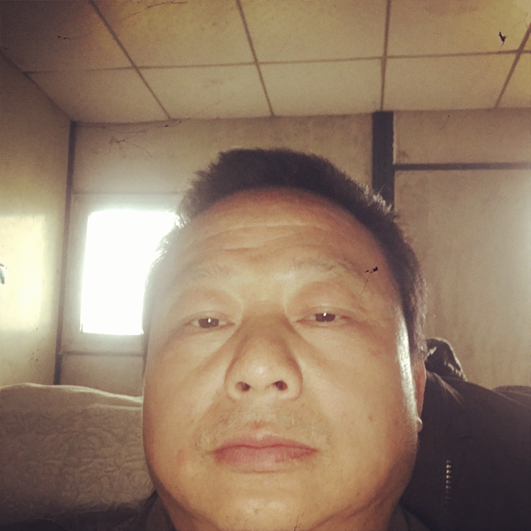 绿萝种植的照片
