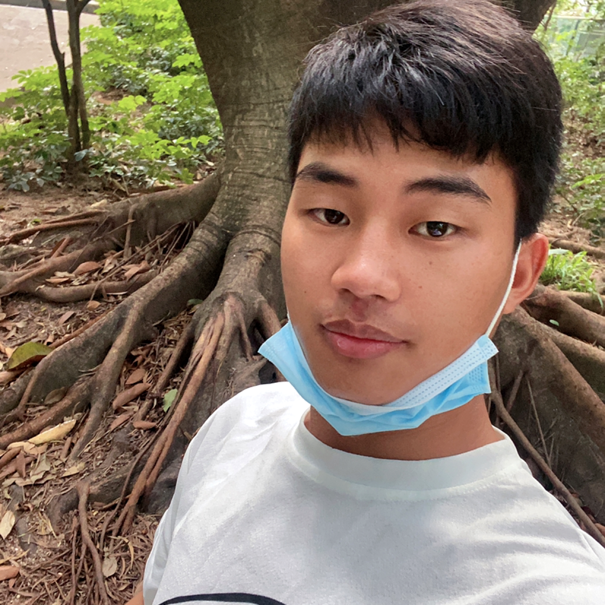幸福愿菠萝的照片