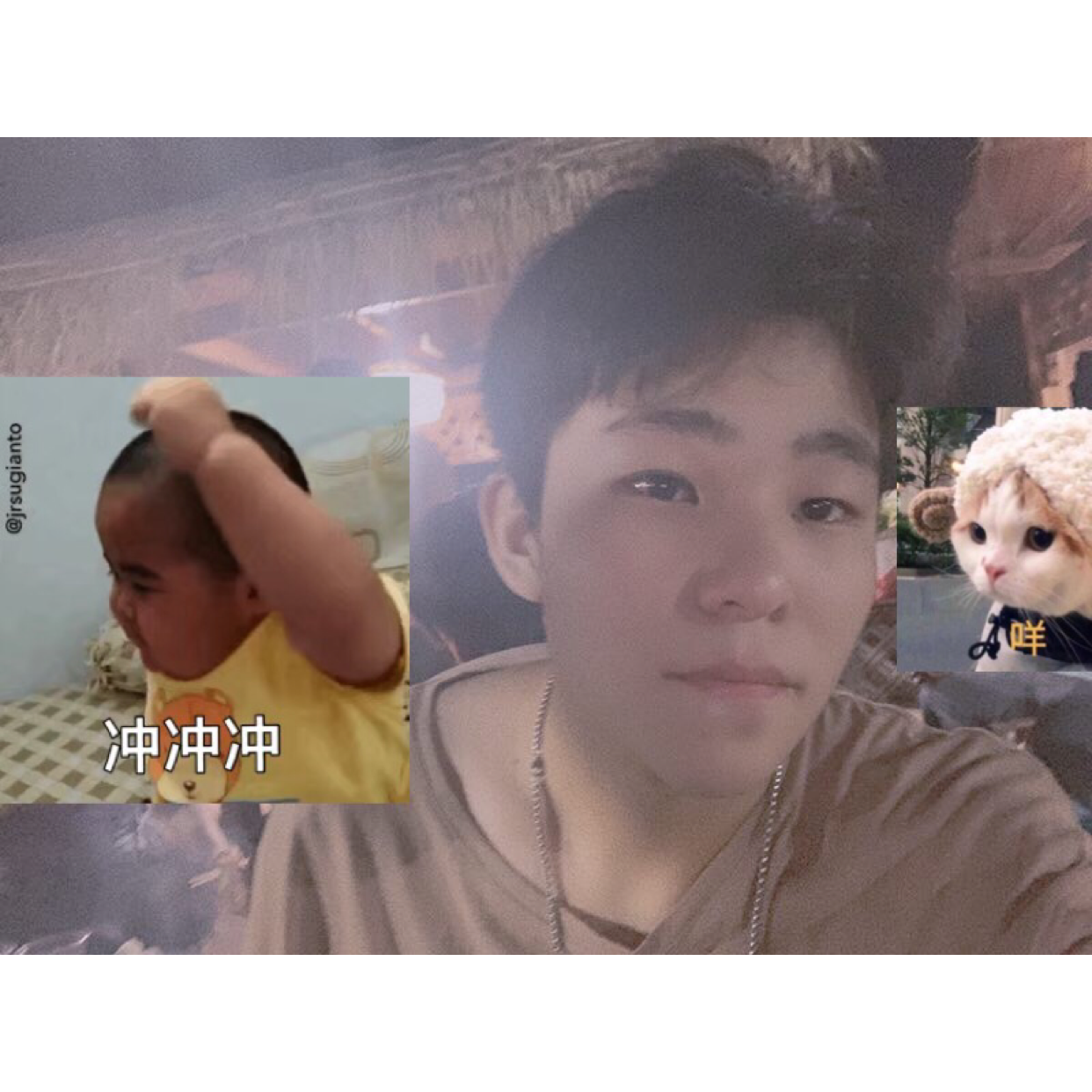 悲剧的照片