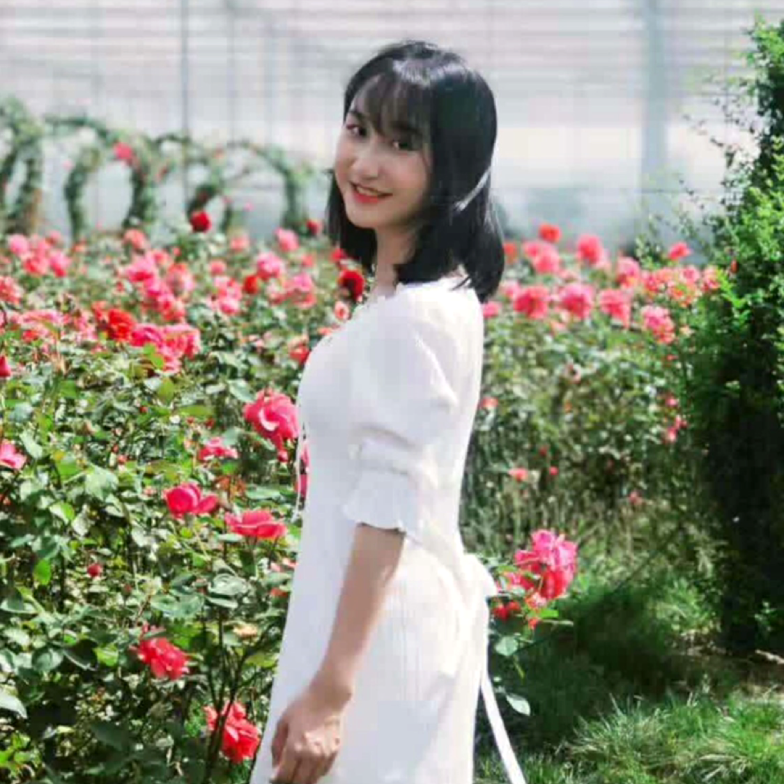 坚定深拥百合的照片