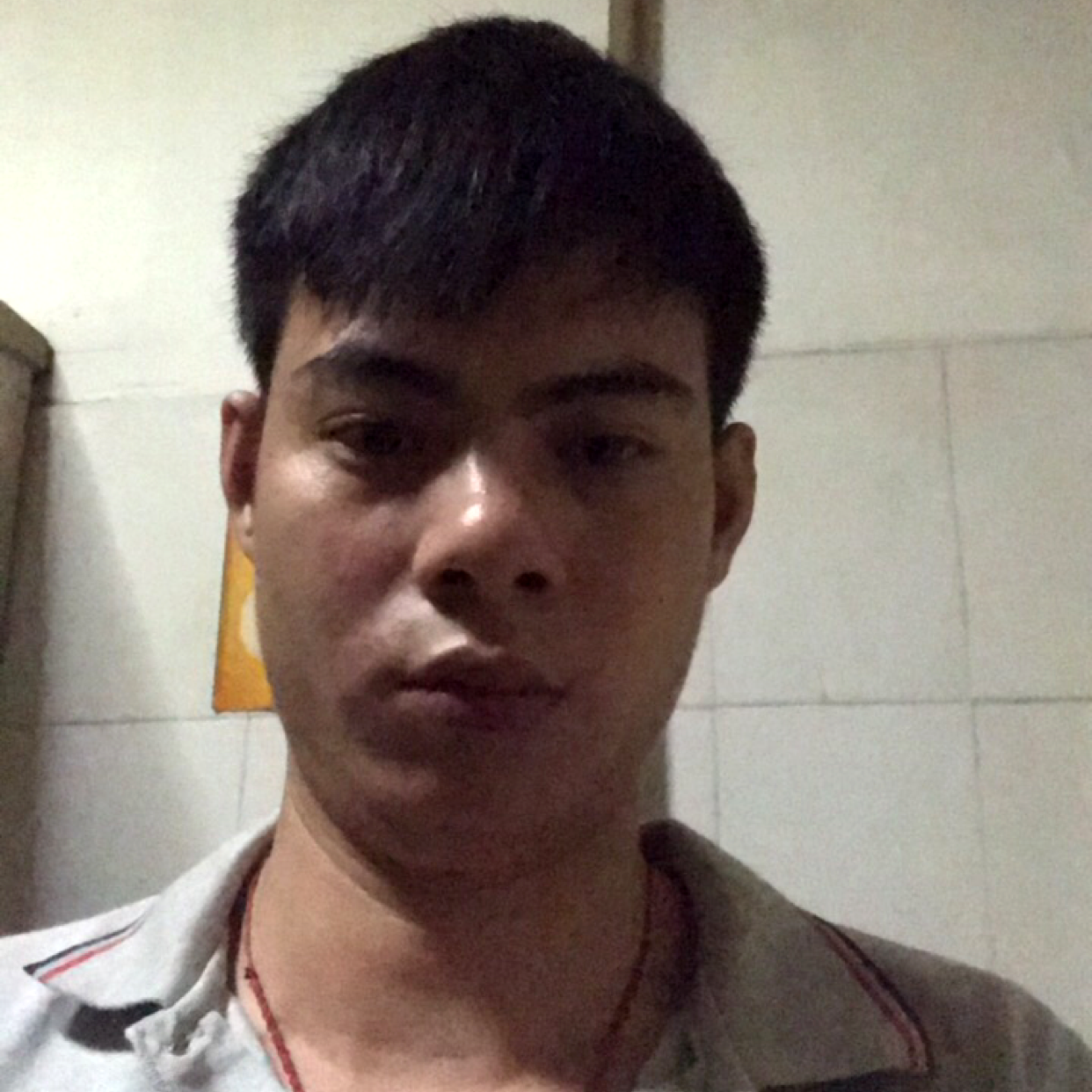 柠檬贪玩的照片