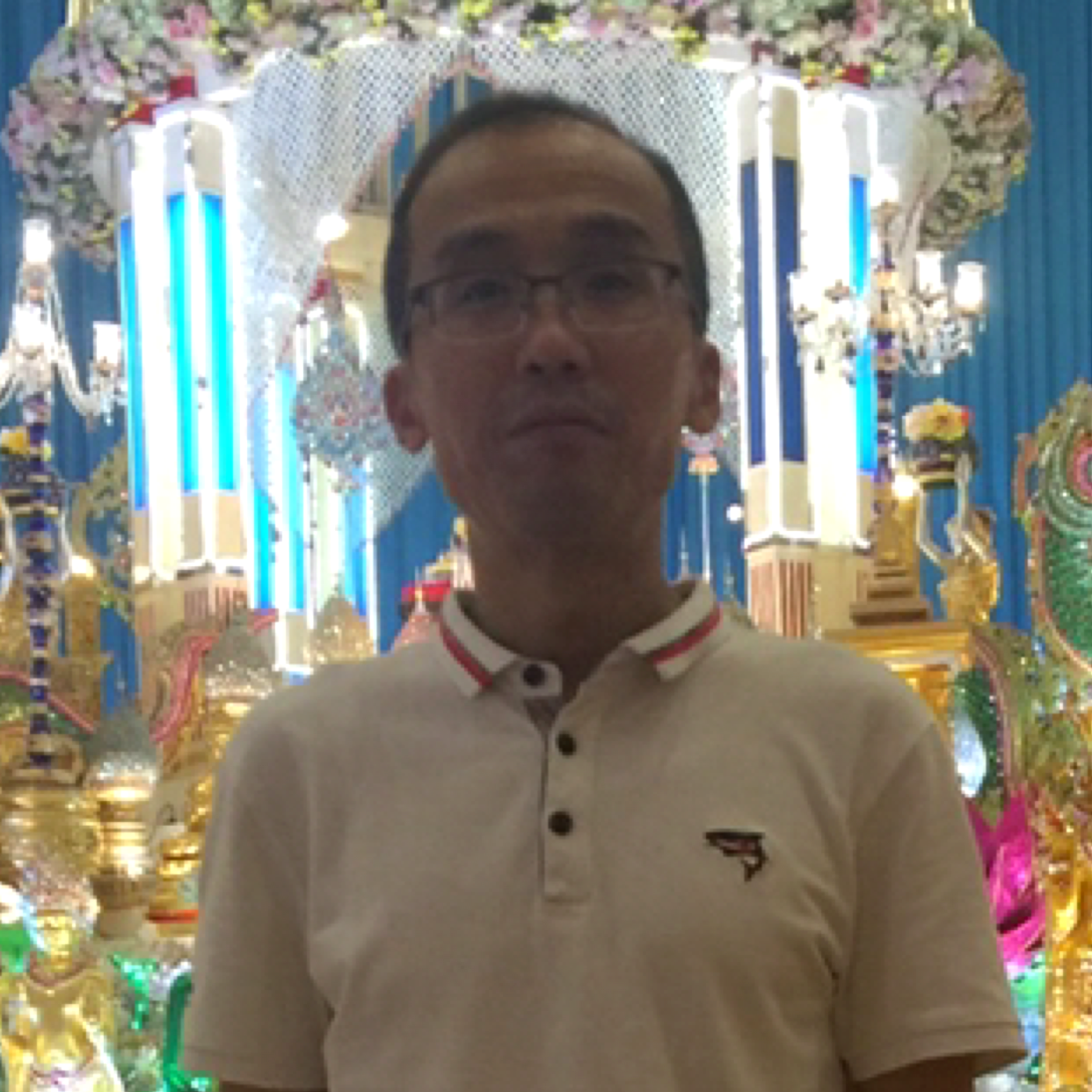 小海豚邂逅专注的照片