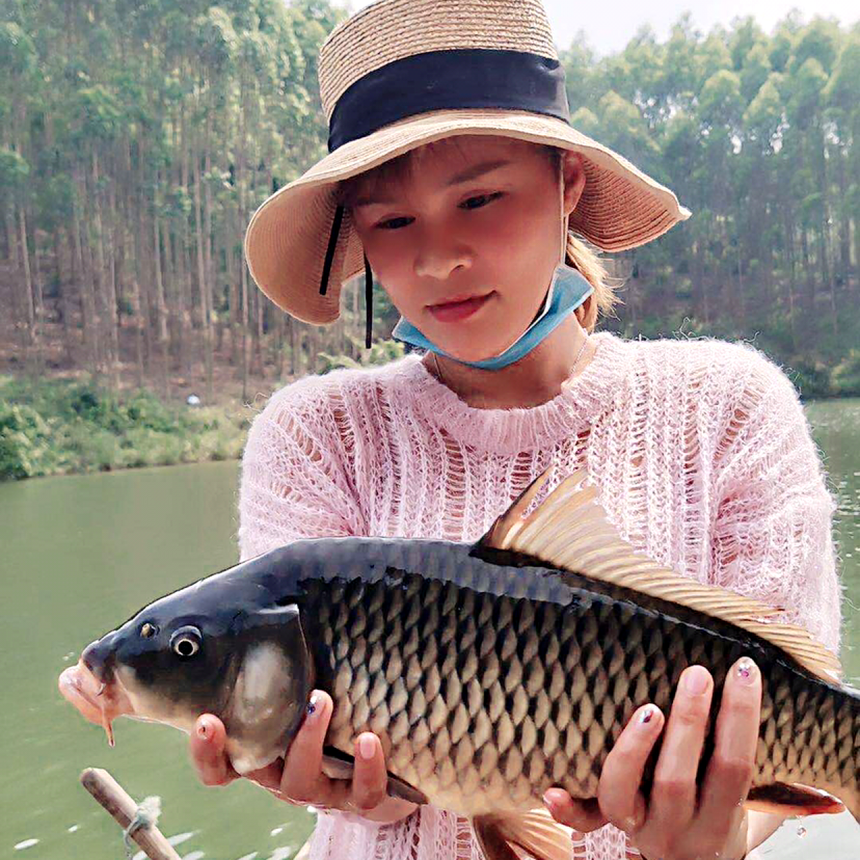 小蝴蝶多么复杂的照片