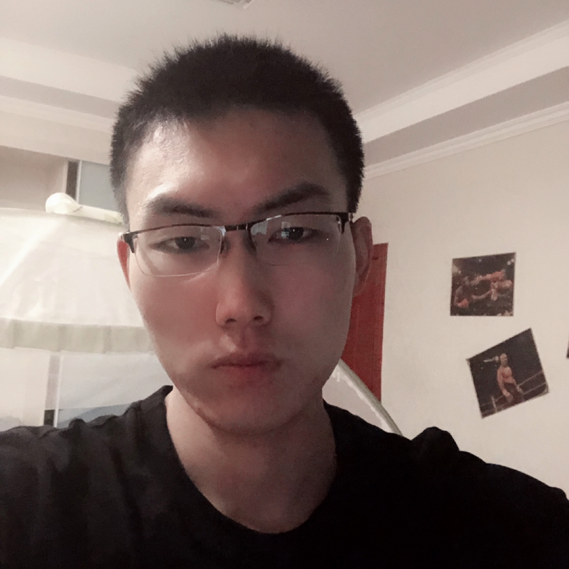 乌龟等待苹果的照片