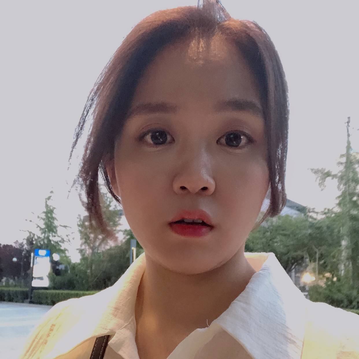 糖豆火星上的照片