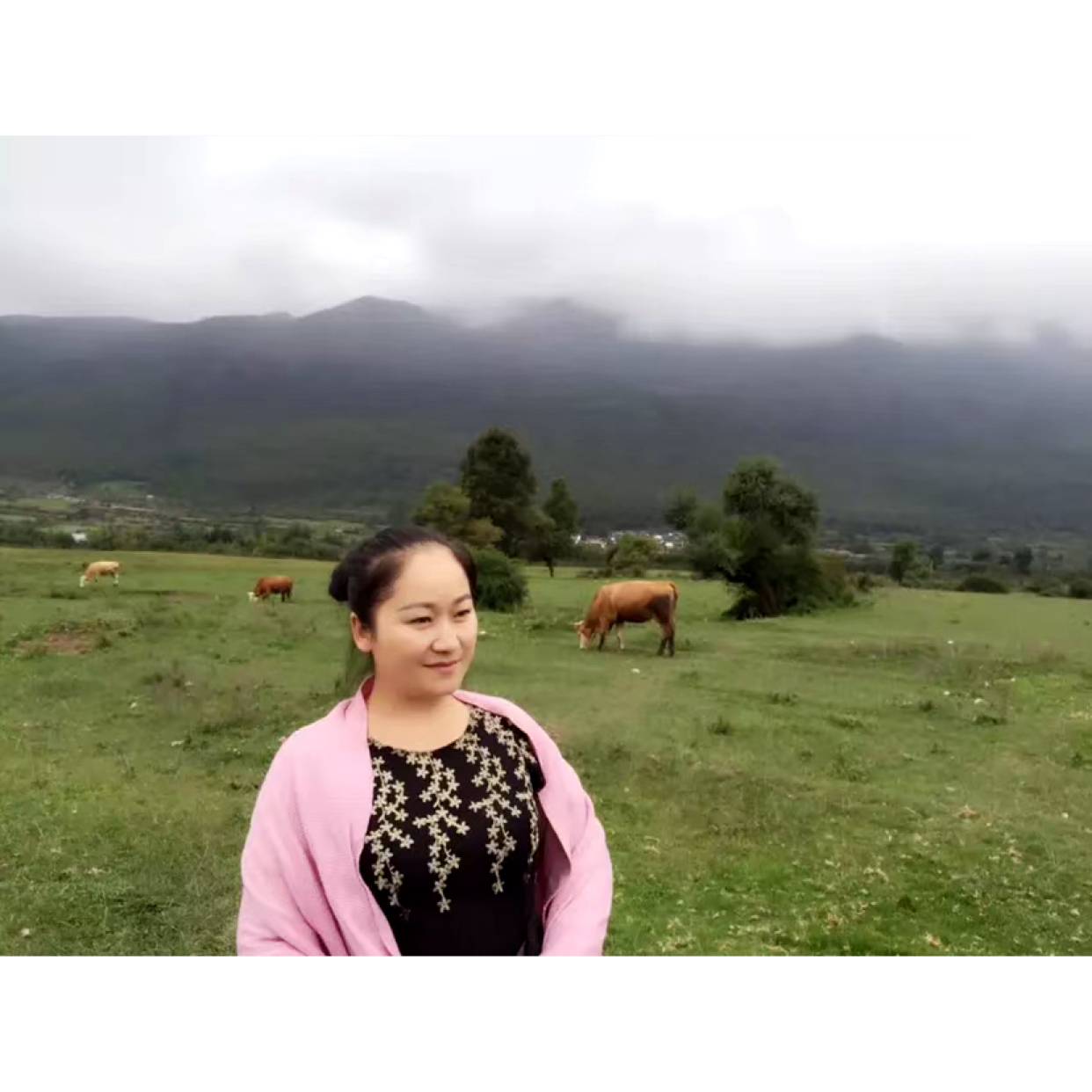随(心随缘的照片