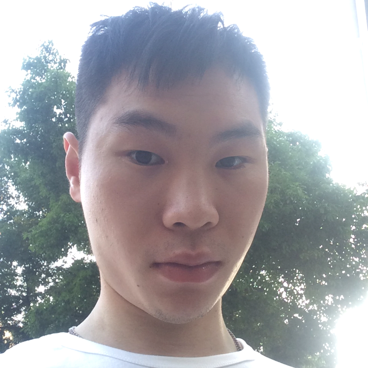 忘忧邂逅自然的照片