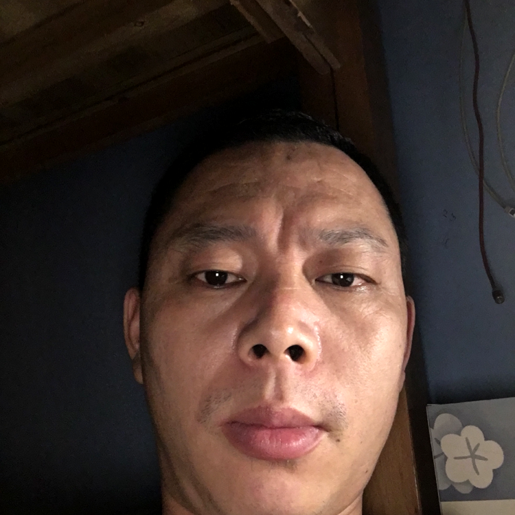 蛋挞倾心机智的照片