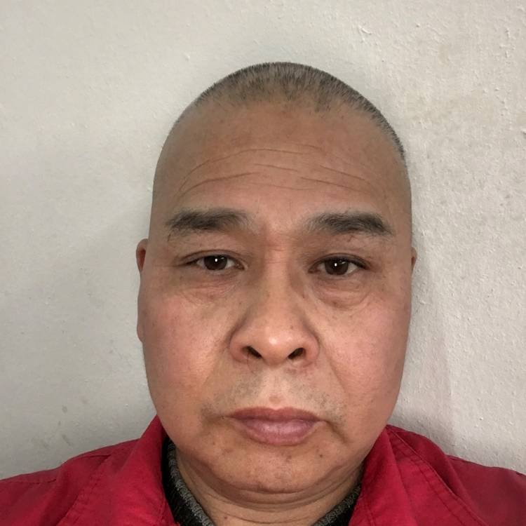 乌龟漫步愉快的照片